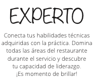 Experto